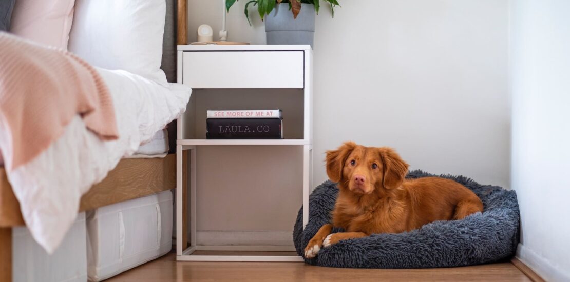 Dicas de Manutenção e Cuidados Com Pisos Laminados e Vinílicos