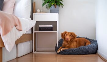 Dicas de Manutenção e Cuidados Com Pisos Laminados e Vinílicos